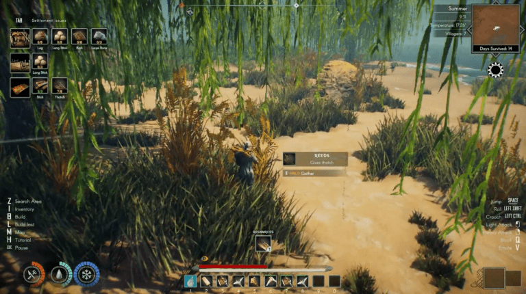 How to Find Thatch in ASKA