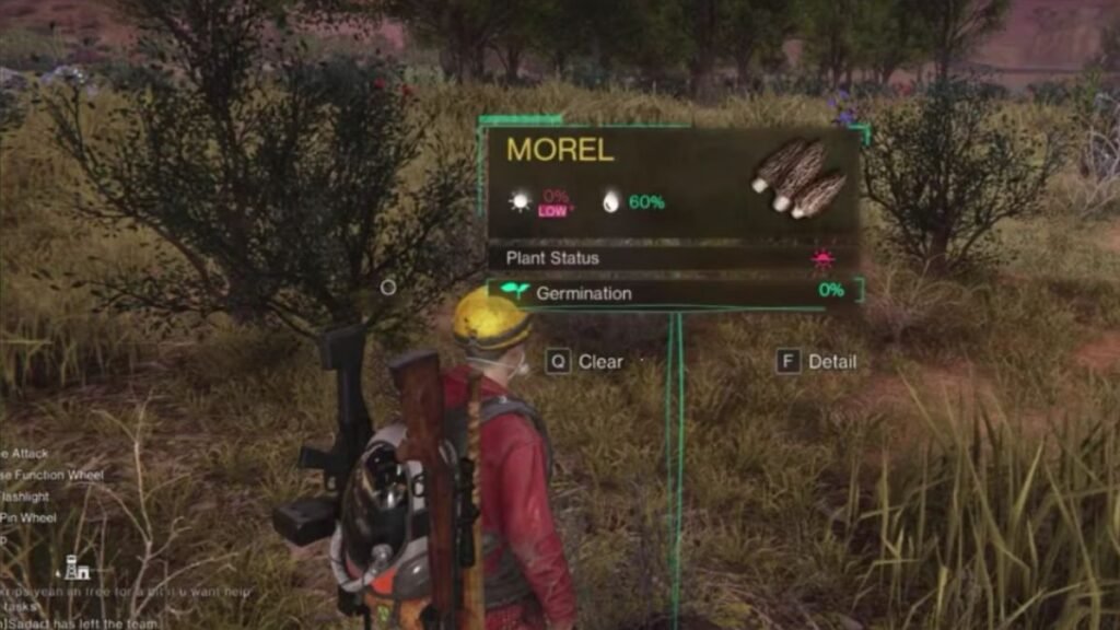 How To Get Morel Seeds In Once Human