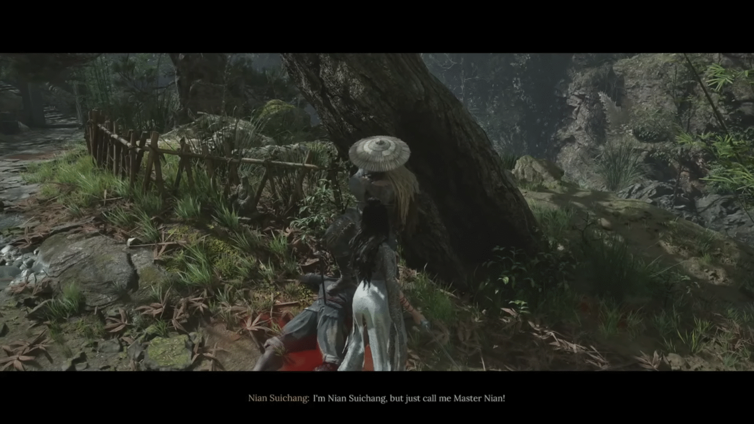 Nian Location Wuchang Fallen Feathers (1)
