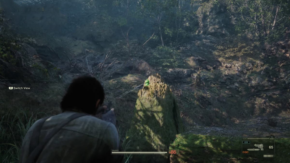 Metal Gear Solid 3 Remake, Kerotan collectibles in Dremuchij North
