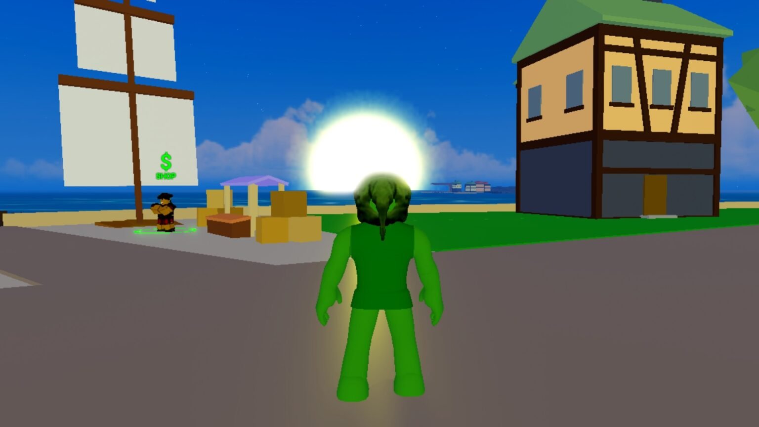 Roblox Blox Fruits screenshot featuring the player watching a sunrise on the island.