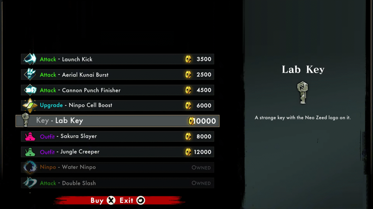 Shinobi Art of Vengeance Shop Lab Key item Unlocked