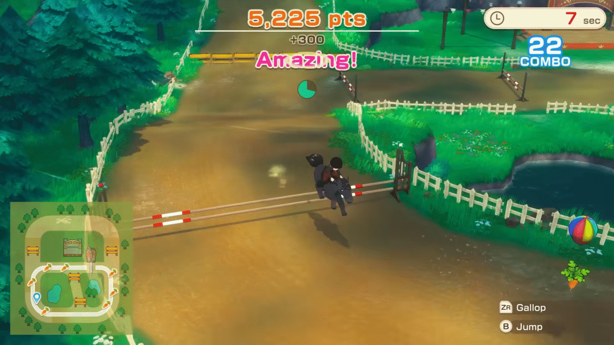 Story of Seasons Grand Bazaar Horse Racing Track (2)