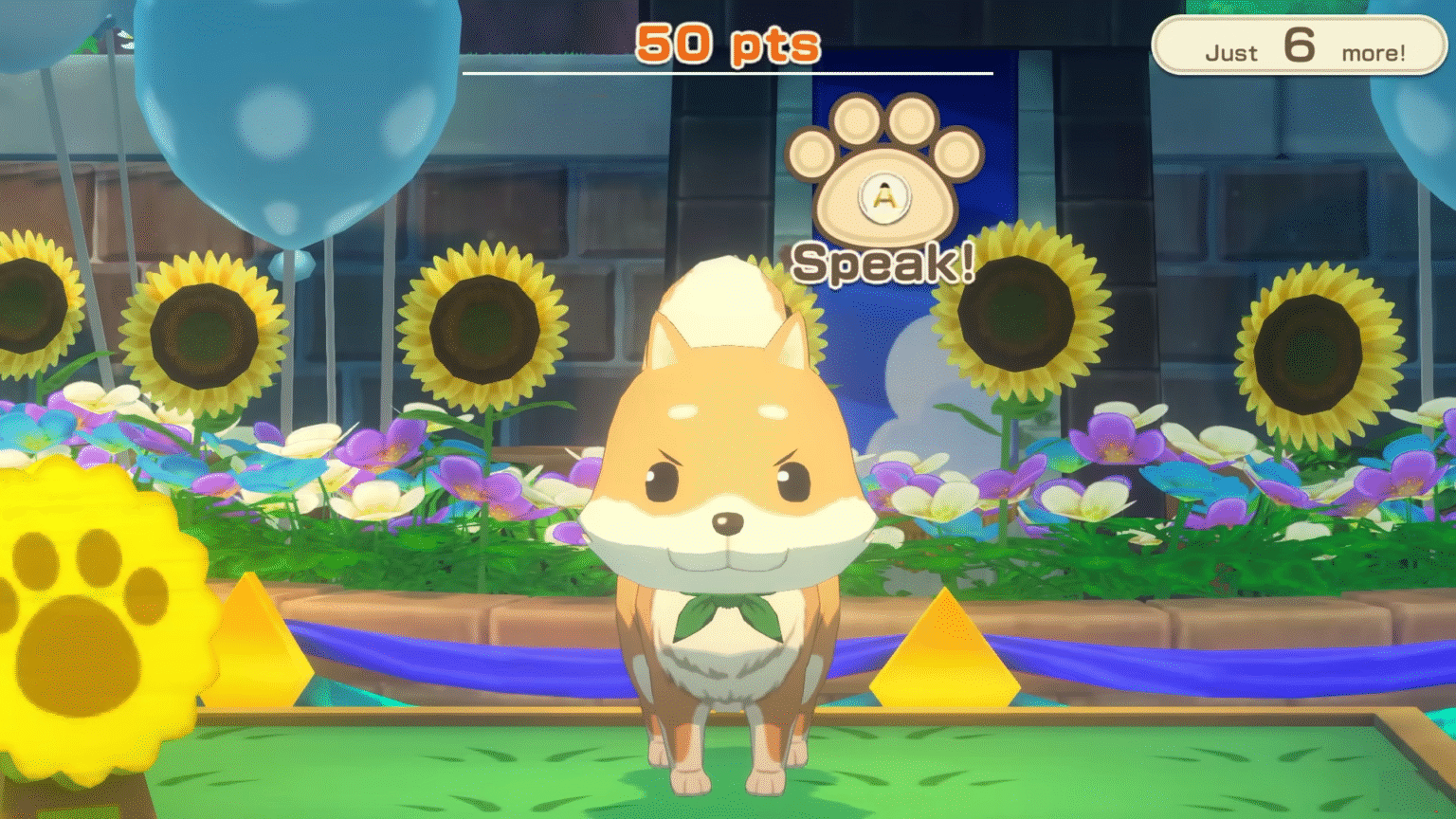 Story of Seasons Grand Bazaar Training a Pet (1)