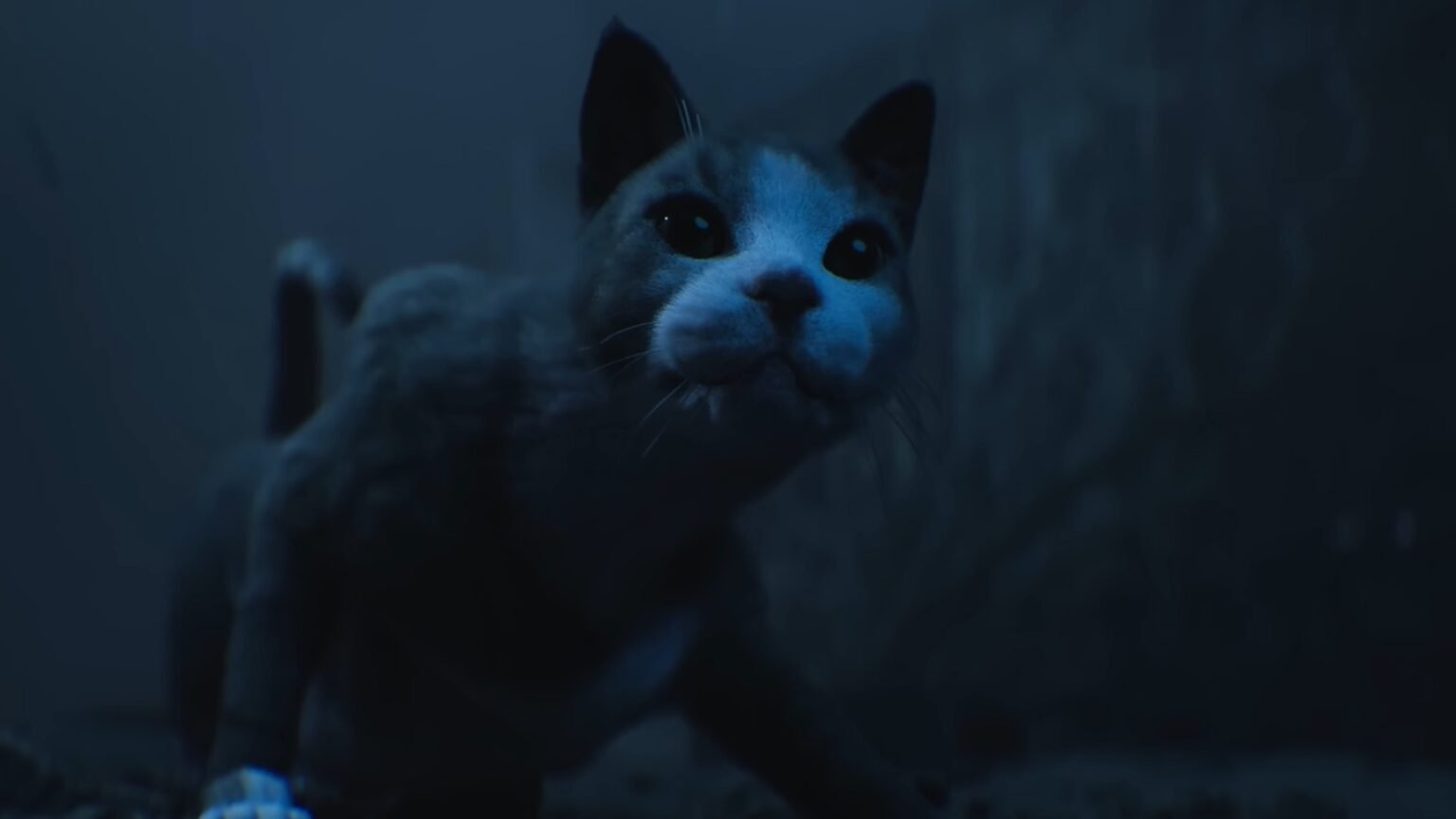 Cronos: The New Dawn screenshot featuring a Cat.