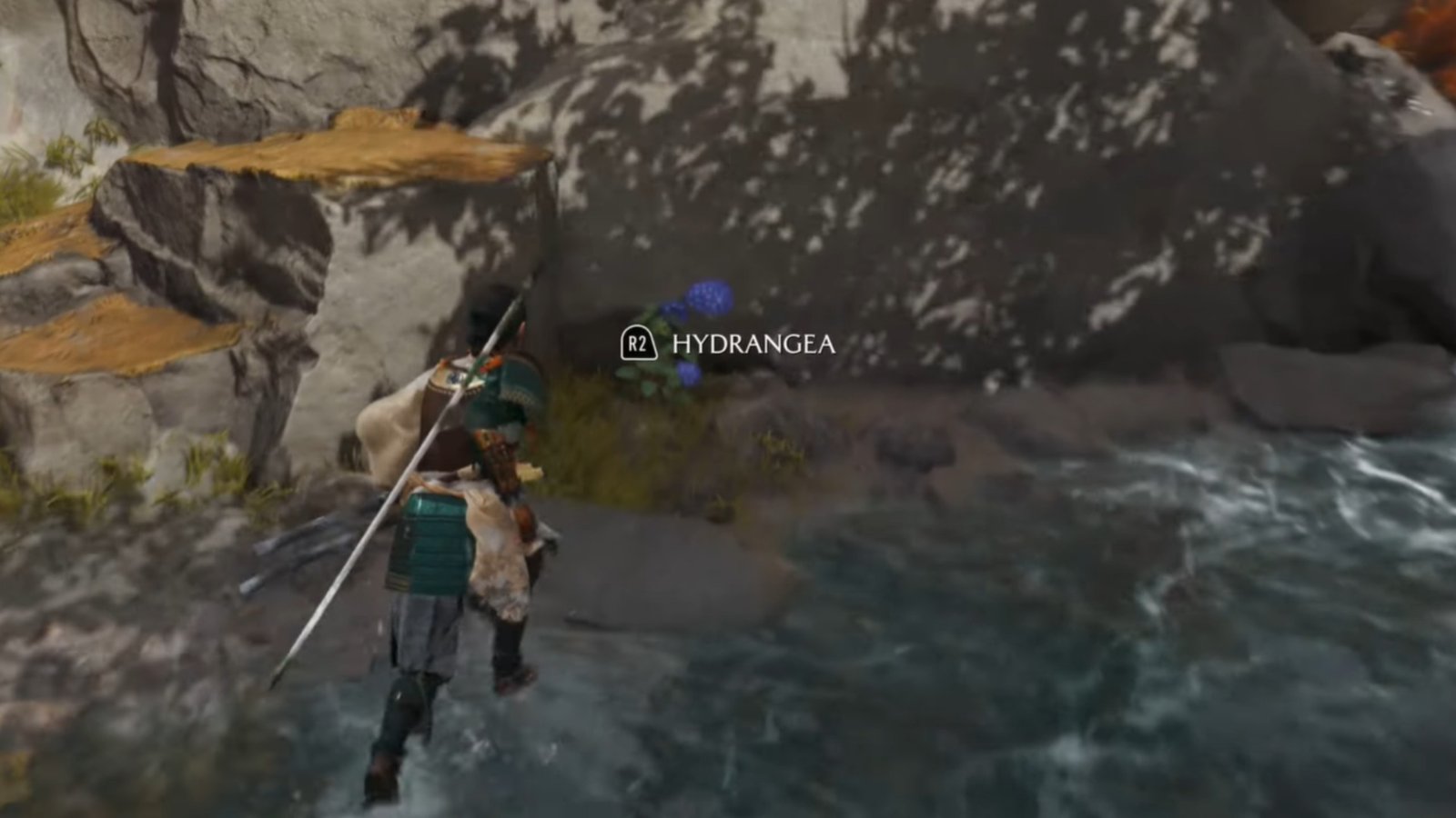 Ghost of Yotei screenshot featuring Atsu collecting the second blue flower.