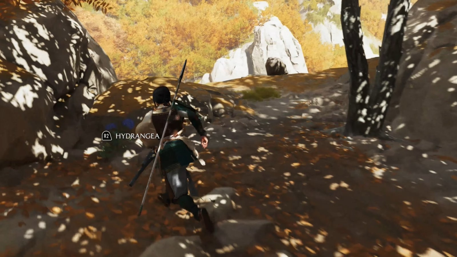 Ghost of Yotei screenshot featuring Atsu collecting the third blue flower.