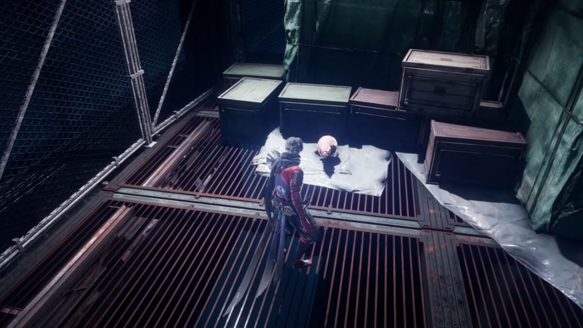 Capturing Gourdy in Ninja Gaiden 4