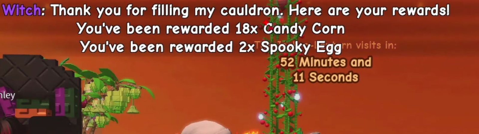 Witch Cauldron Grow A Garden