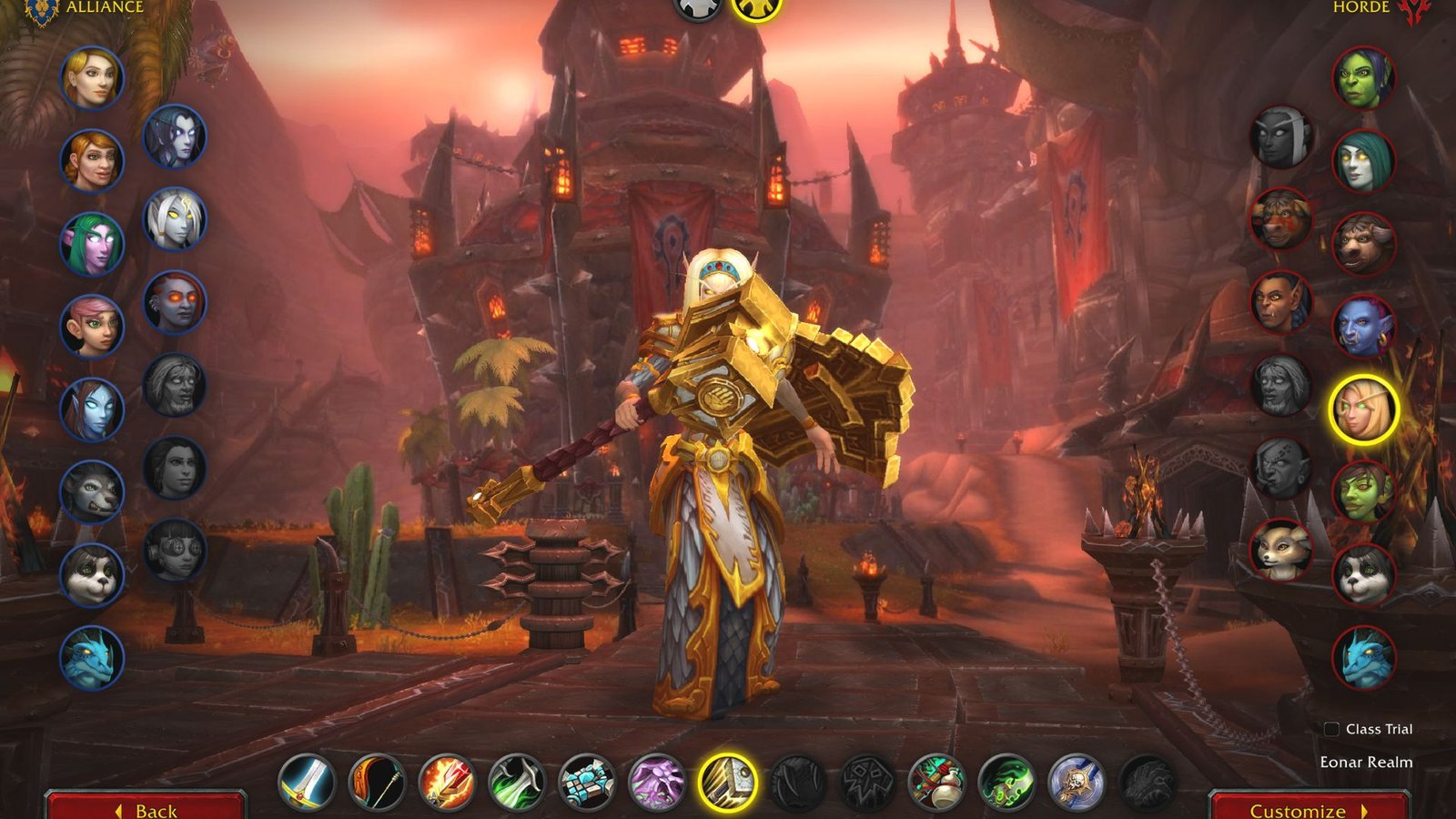 Blood Elf Paladin in World of Warcraft