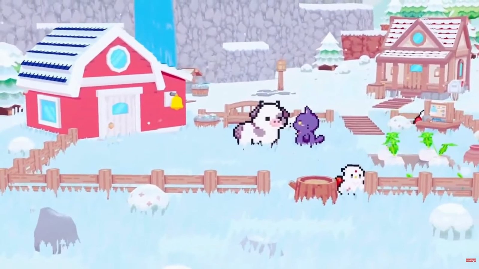 Cat and Cow in Snacko