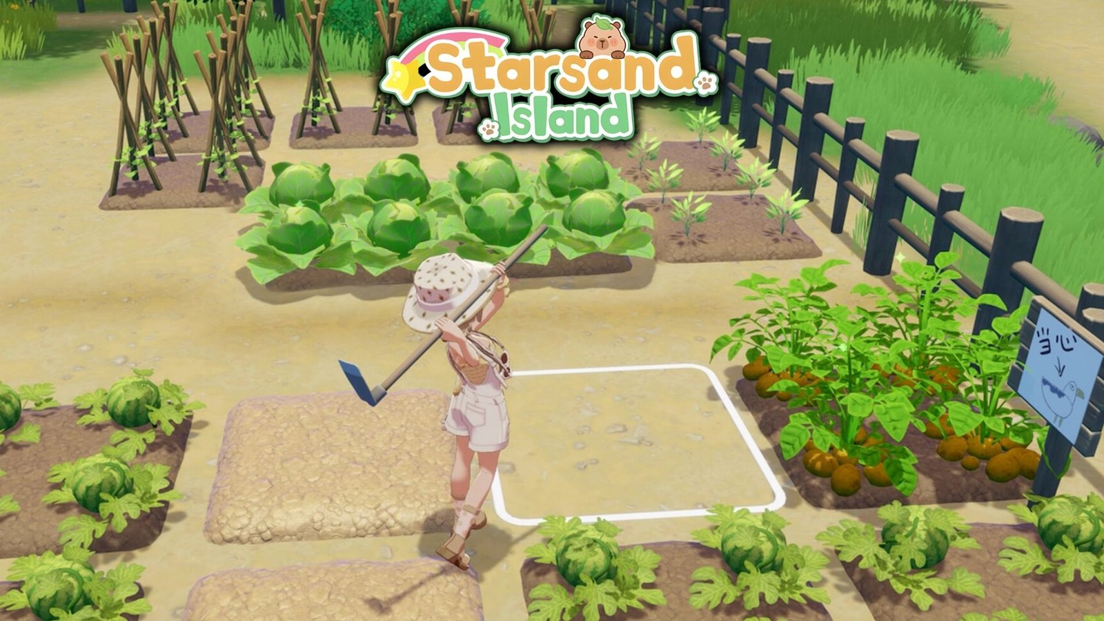 Ways to earn money in Starsand Island