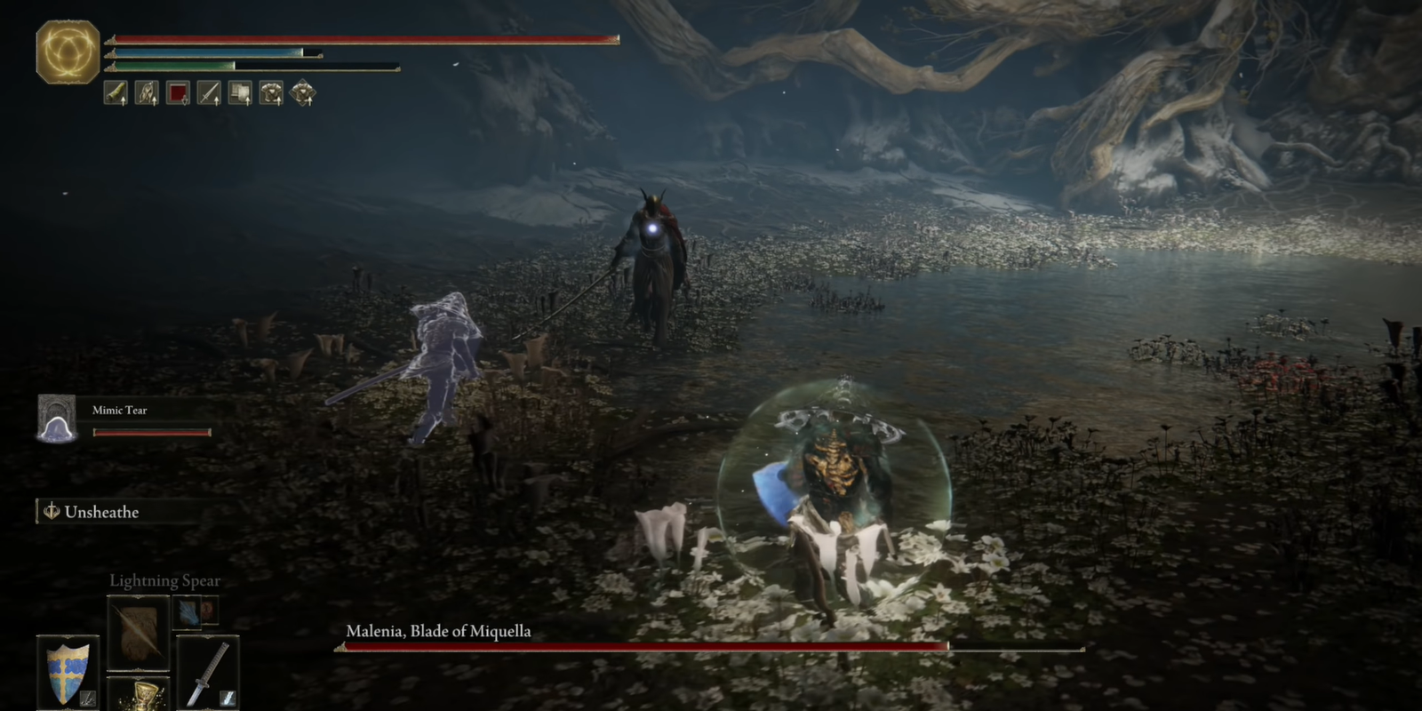 An image of Malenia, Blade of Miquella boss fight in Elden Ring