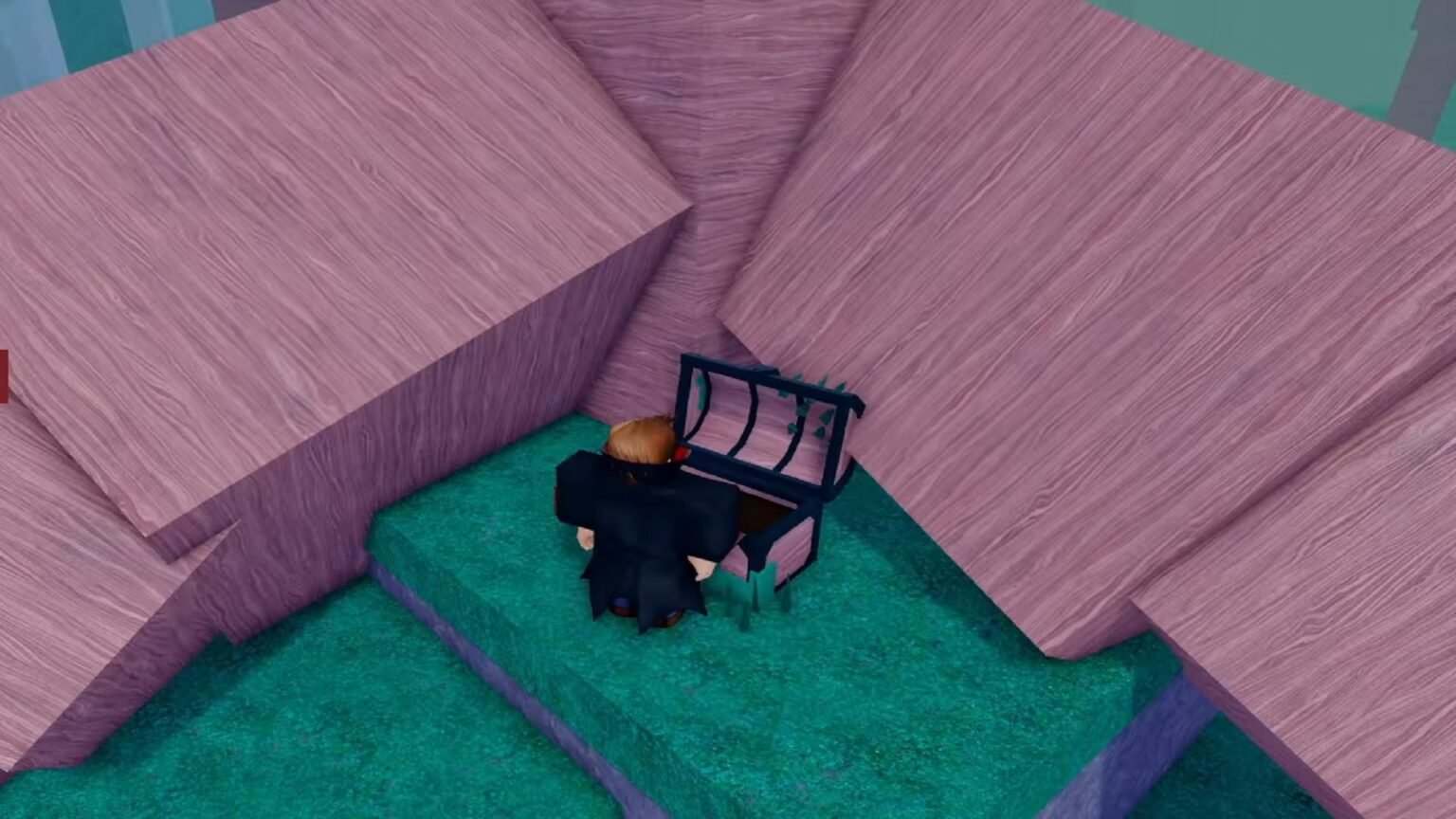 Mother Tree 99 Nights in the Forest