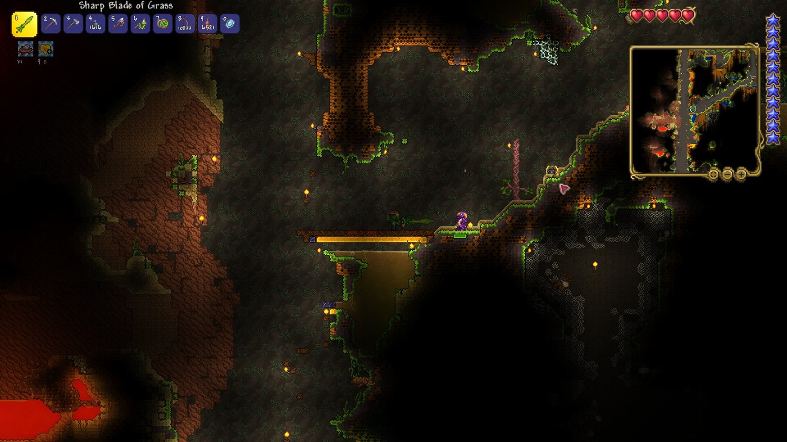 The Blade of Grass being used in the Not the Bees seed in Terraria.