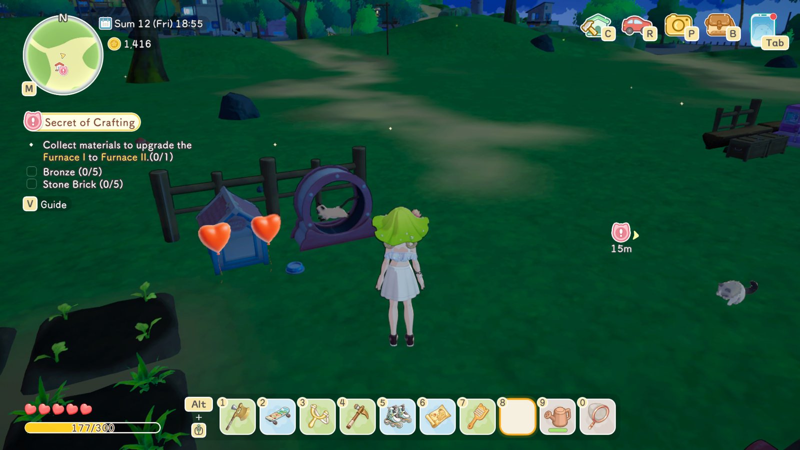 A Cat Running on an Exercise Wheel in Starsand Island