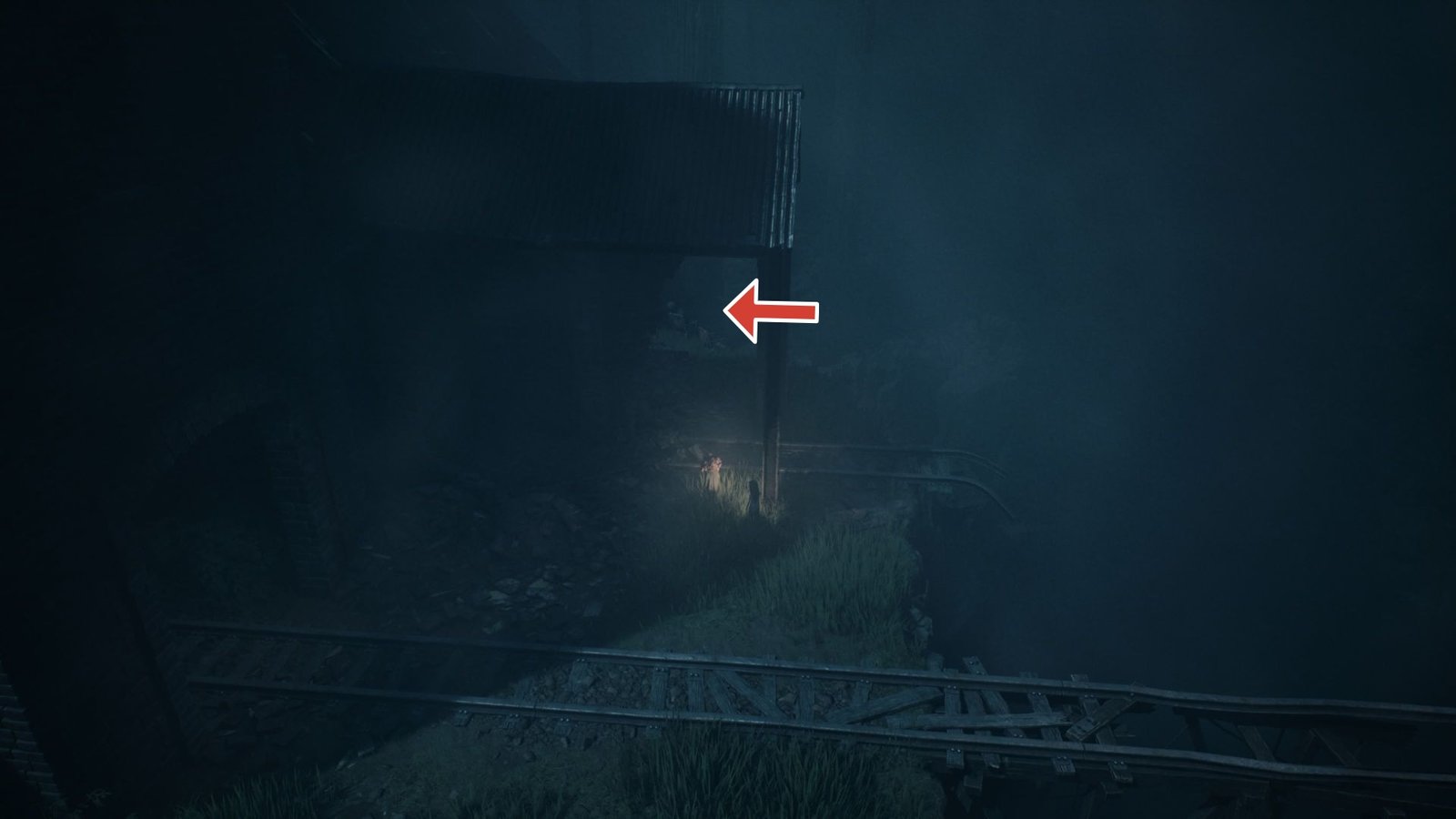 hidden location in Reanimal