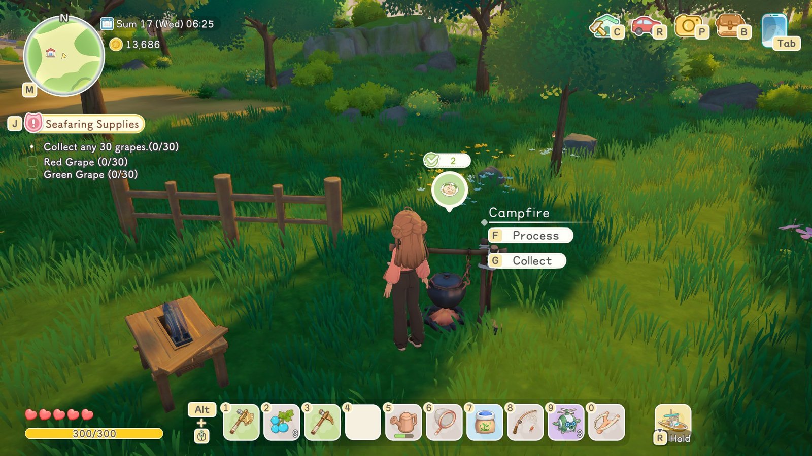 Starsand Island Campfire Food