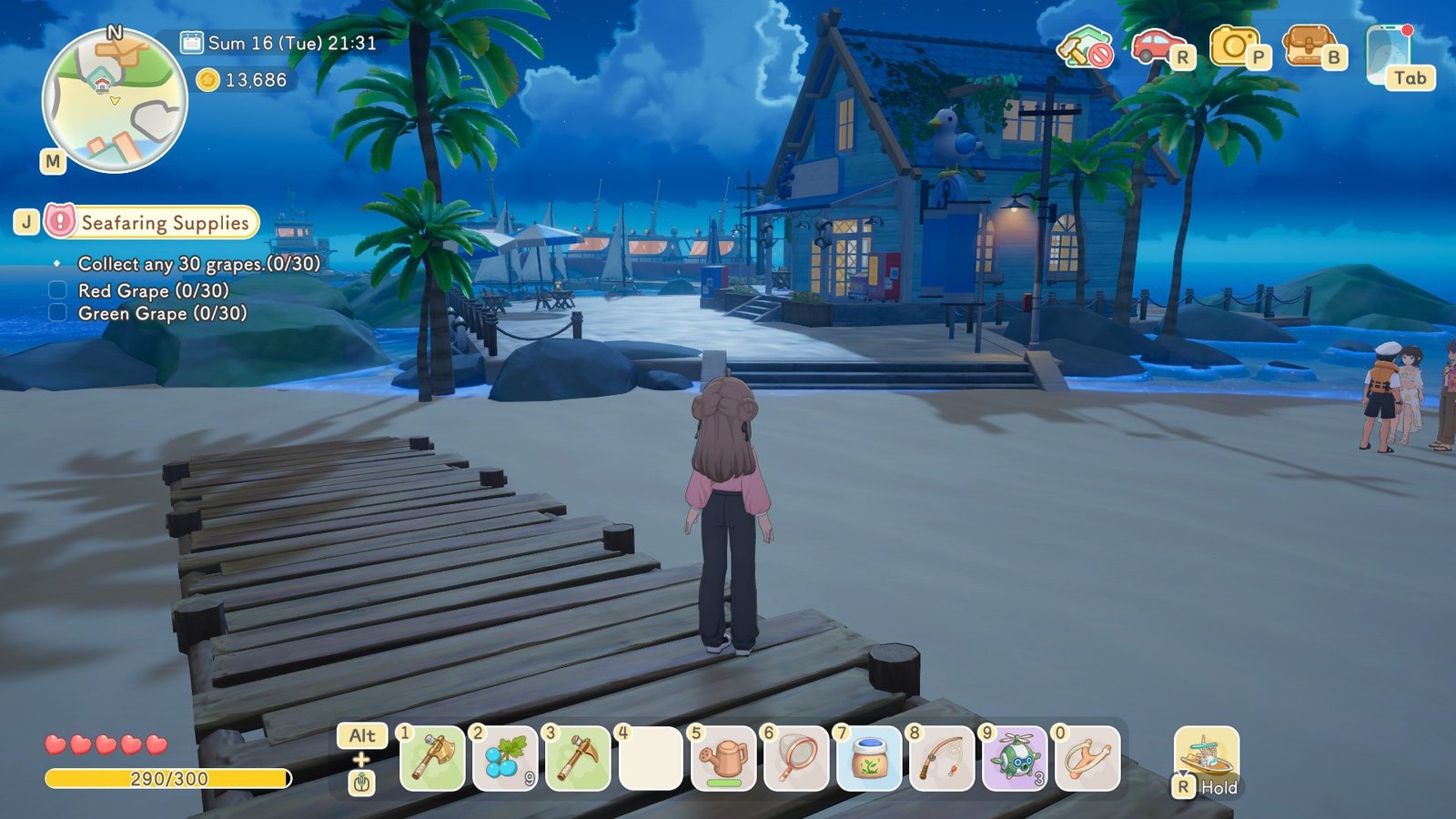 Starsand Island Docks
