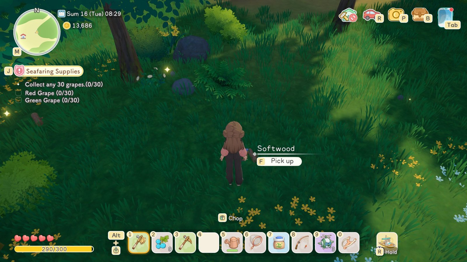 Starsand Island Softwood on Ground