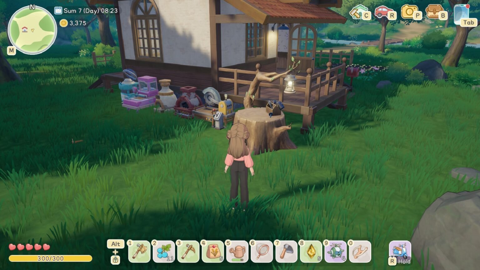 Starsand Island Work Stations