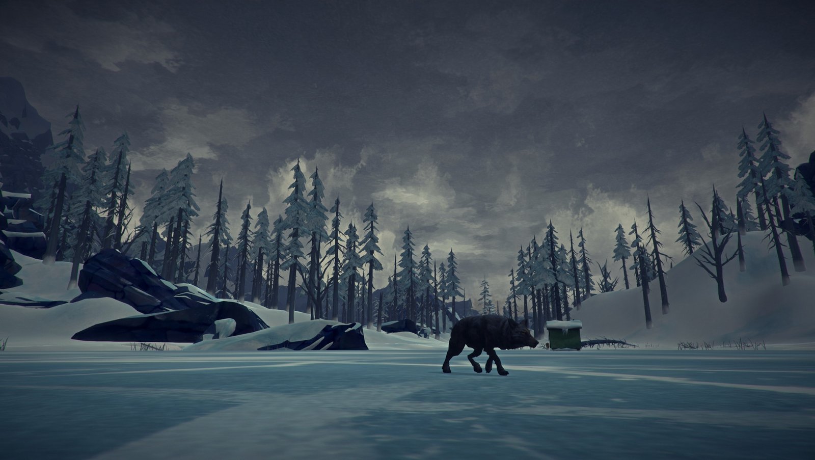 The Long Dark Winter