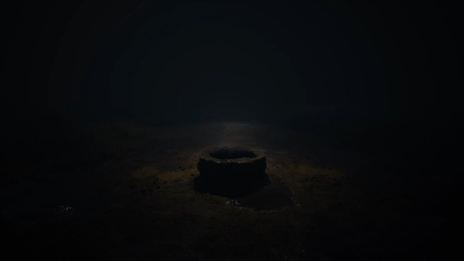 The well in Reanimal