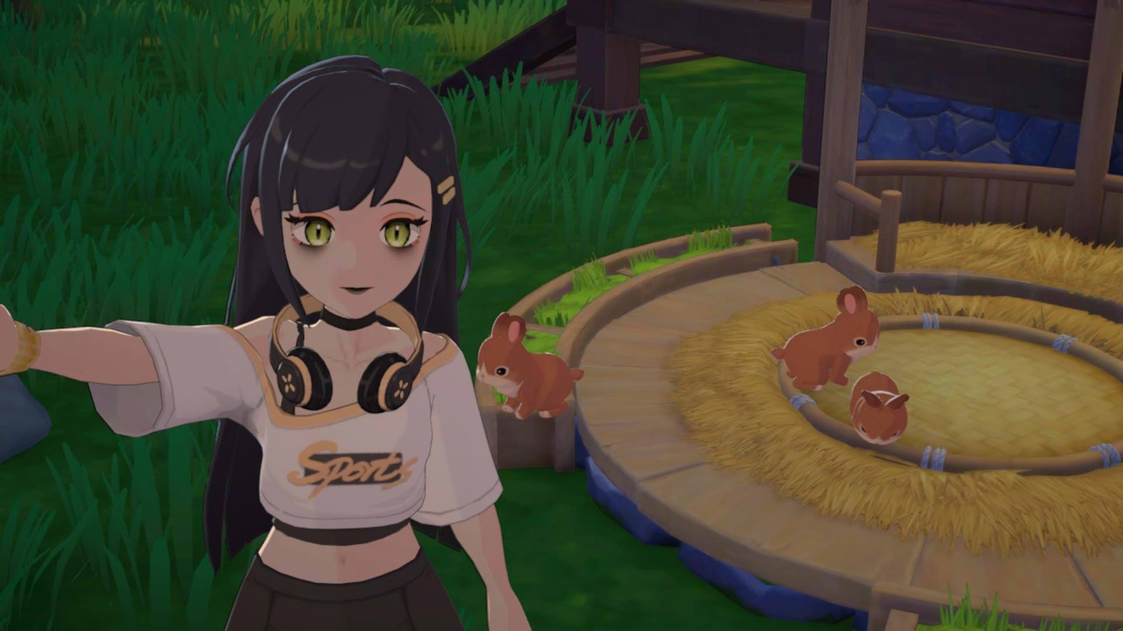 Starsand Island beginner's ranching guide