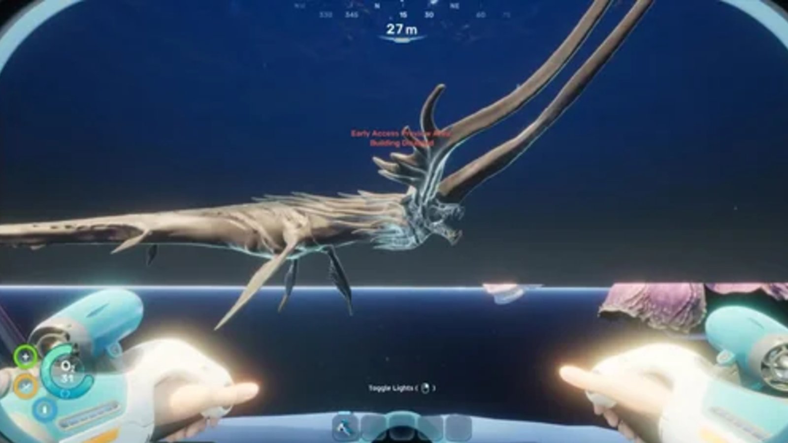 Elusive Leviathan