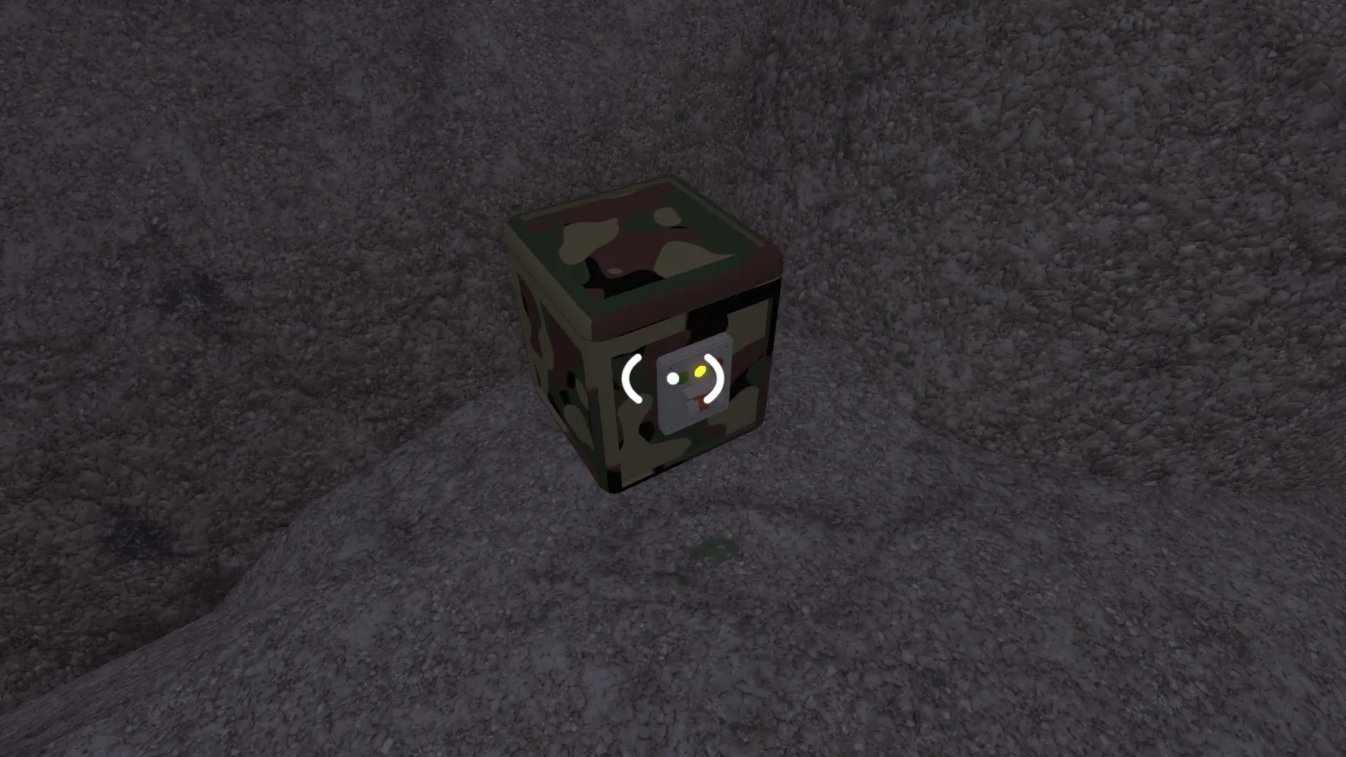Big Walk Camo Box