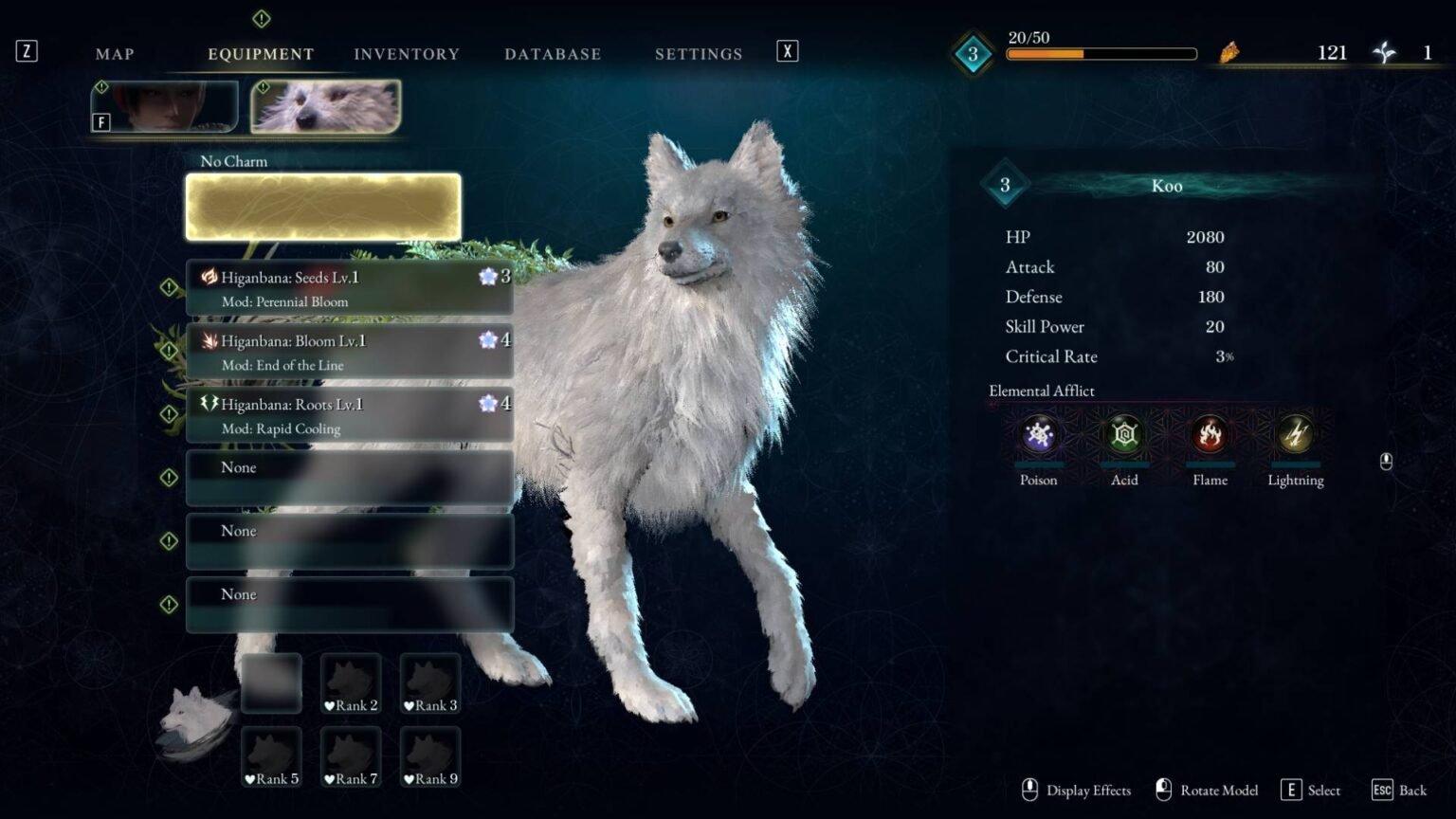 Beast of Reincarnation – Best Skills To Target Early For Emma & Koo Best Skills to target early for Emma and Koo